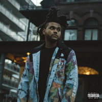 ℗ 2020 The Weeknd XO, Inc., marketed by Republic Records, a division of UMG Recordings, Inc.