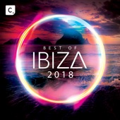 Best of Ibiza 2018 artwork