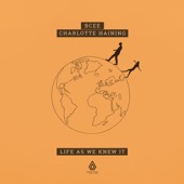 BCee/Charlotte Haining/DRS - Love for the Fallen (Satl Remix)