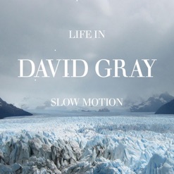 LIFE IN SLOW MOTION cover art
