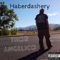 Haberdashery - Thor Angelico lyrics