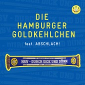 HSV - Durch dick und dünn (feat. Abschlach!) artwork