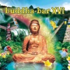 Buddha-Bar XVI, 2014