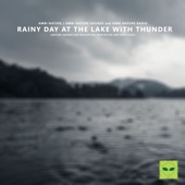 Deep Sleep Rain at the Lake artwork