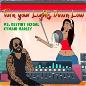 Turn Your Lights Down Low artwork