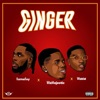 WizMajestic - Ginger (feat. Wizkid & Burna Boy)