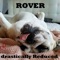 Rover - drastically Reduced lyrics