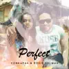 Perfect (Reggae Cover) song lyrics