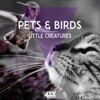 Pets & Birds: Little Creatures