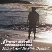 Free Soul MOOMIN〜Mellow Lovers' Moonlight Dancehall artwork
