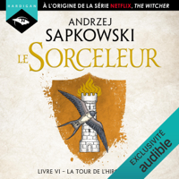Andrzej Sapkowski - La Tour de l'Hirondelle: Sorceleur 6 artwork