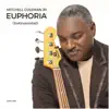 Euphoria (Instrumental Radio Edit) - Single album lyrics, reviews, download