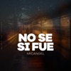 No Se Si Fue - Single