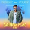 Caribbean Plans (Remix) [feat. Poupie] - Single