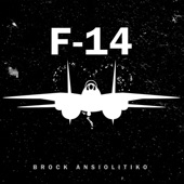 F-14 artwork