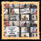 Pinche Cumbia (feat. Ozomatli, Itawe & El Gran Silencio) artwork