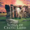 Songs of Celtic Land - Experience the Greatest Relaxation: Celtic Harp & Flute album lyrics, reviews, download