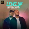 Level Up - Single