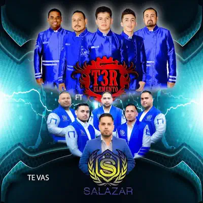 Te Vas (feat. Salazar & Nueva Eskuela) - Single - T3r Elemento