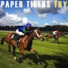 Paper Tigers - Try