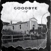 Goodbye - Single