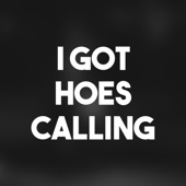 I Got Hoes Calling artwork