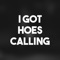 I Got Hoes Calling artwork