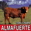 Toro y Pampa, 2006