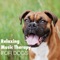 Good Boy (Forest Stream Water Sounds) - Music for Dog's Ears lyrics
