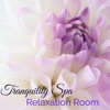 Tranquility Spa Relaxation Room – Calming and Soothing Music for Massage, Deep Relaxation, Autogenic Training and Shiatsu, 2016
