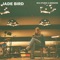 Black Star - Jade Bird lyrics