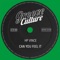 Can You Feel It (Extended Mix) - Hp Vince lyrics