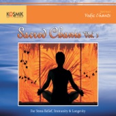 Sacred Chants, Vol. 3 artwork