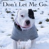 Don't Let Me Go - Single