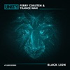 Armin van Buuren & Ferry Corsten - Black Lion