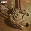 Stream & download Konzert Für Zwei Violinen Und Orchester D-Moll, BWV 1043 - Concerto for Two Violins and Orchestra in D Minor: II. Largo Ma non Tanto