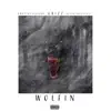 Wolfin (feat. Bussdown Gooney & BabyFaceGunna) - Single album lyrics, reviews, download