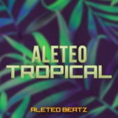 Aleteo Tropical (Guaracha & Aleteo) artwork