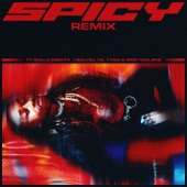 Spicy (feat. J Balvin, YG, Tyga & Post Malone) - Remix by Ty Dolla $ign