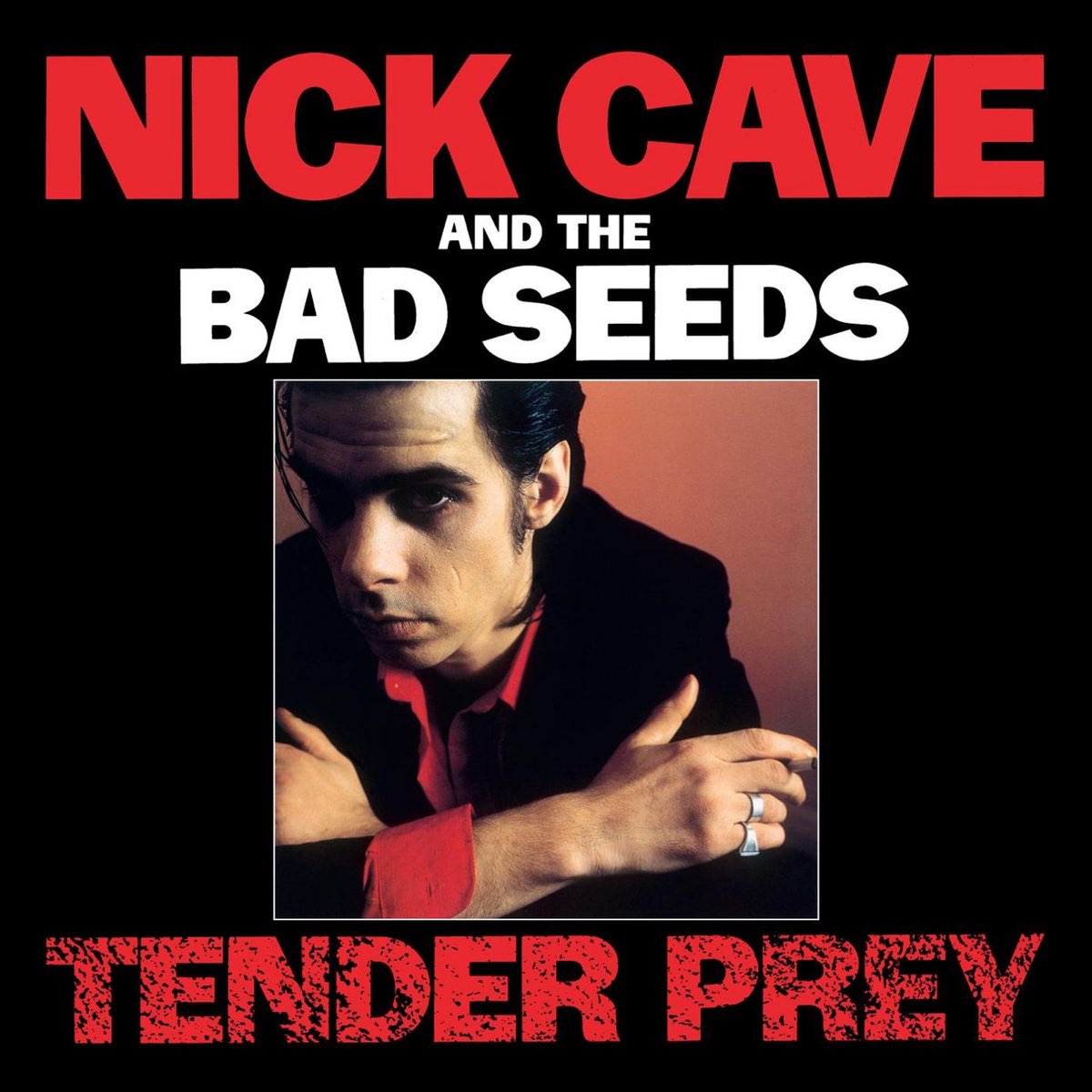 Nick Cave The Bad Seedsの Tender Prey 10 Remastered Edition をapple Musicで