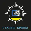 Stream & download Сталеві крила! - Single