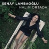 Halim Ortada - Single