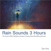 3 Hours Rain Sounds -Nature Sound for Relaxation, Deep Sleep- artwork