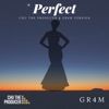 Perfect (feat. Gr4m) - Single