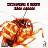 Last Resort (Kayzo Remix) artwork