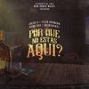 Por qué no estás aquí? (feat. Ryan Roy) - Single