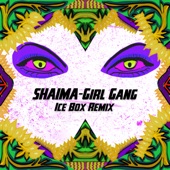 Girl Gang (Ice Box Remix) artwork