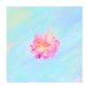 Tea Rose - Single