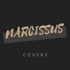 Narcissus Covers - Single