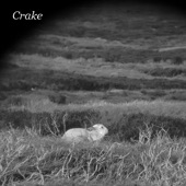 Crake - Enough Salt (For All Dogs)